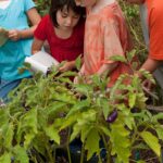 Planting Smiles: Engaging Kids Gardening Activities Revealed