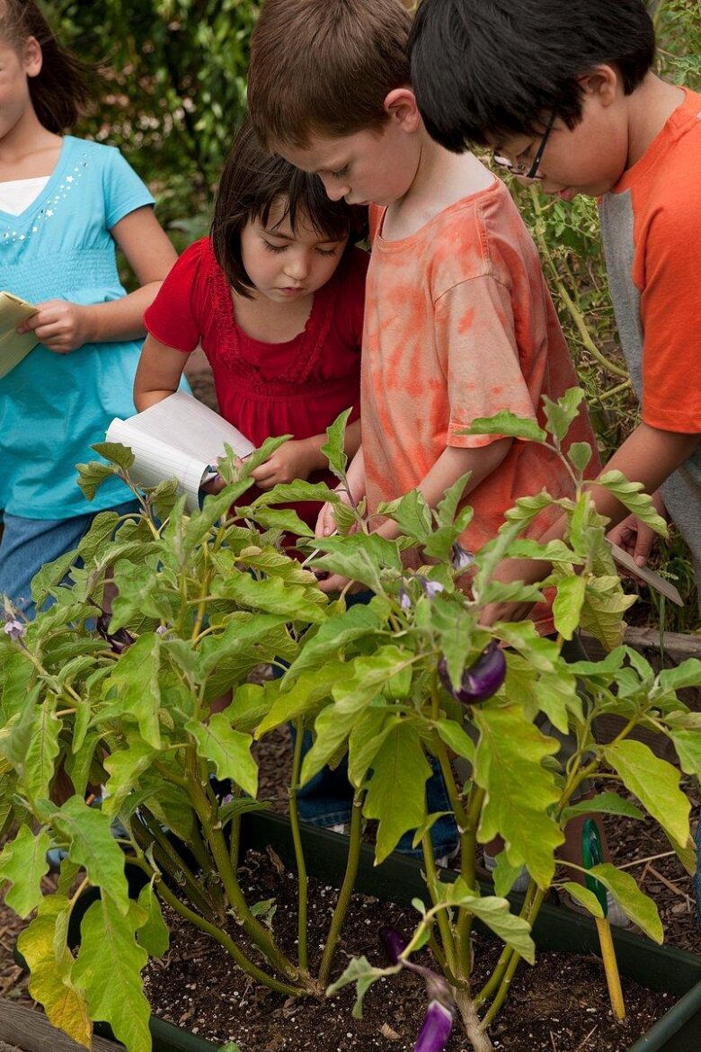 Planting Smiles: Engaging Kids Gardening Activities Revealed